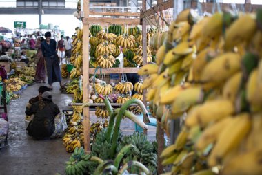 Yangon yakınlarındaki Myanmar kırsalındaki yerel bir meyve ve sebze pazarında satılan küçük olgun sarı muzlar.