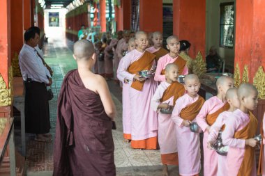 YANGON, MYANMAR - 12020 OCAK: Pembe cüppeli genç rahipler sabah yemeklerini Swe Taw Myat Pagoda yakınlarındaki kaselerinde yemek için sıraya giriyorlar