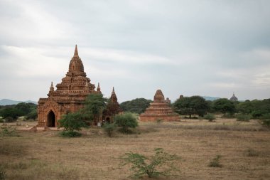 BAGAN, NYAUNG-U, MYANMAR - 2 HAZİRAN 2020: Ağaçların arasındaki kuru bir tarlada birkaç eski ve tarihi Budist tapınağı