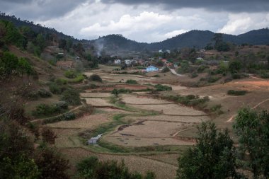 Kalaw 'dan Inle Lake, Shan State, Myanmar' a yürürken pirinç ve biber tarlaları olan pitoresk bir köy.