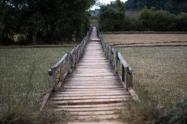 Wooden Walkway Some Rice Fields Close Rural Village Hike Kalaw — Stock Photo, Image