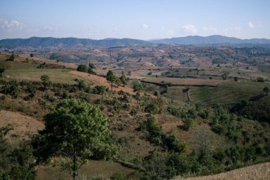 Kalaw 'dan Inle Gölü' ne, Shan Eyaleti 'ne, Myanmar Eyaleti' ne yürürken yuvarlanan tepeler boyunca güzel tarım arazileri ve tarlalar.