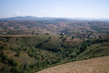 Kalaw 'dan Inle Gölü' ne, Shan Eyaleti 'ne, Myanmar Eyaleti' ne yürürken yuvarlanan tepeler boyunca güzel tarım arazileri ve tarlalar.