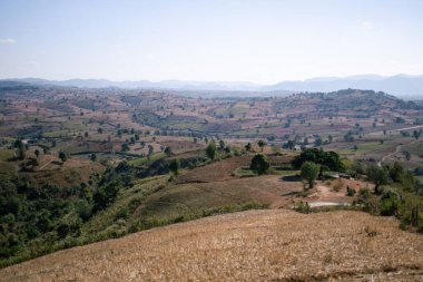 Kalaw 'dan Inle Gölü' ne, Shan Eyaleti 'ne, Myanmar Eyaleti' ne yürürken yuvarlanan tepeler boyunca güzel tarım arazileri ve tarlalar.
