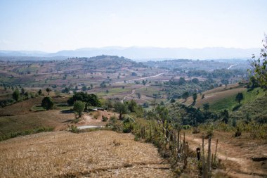 Kalaw 'dan Inle Gölü' ne, Shan Eyaleti 'ne, Myanmar Eyaleti' ne yürürken yuvarlanan tepeler boyunca güzel tarım arazileri ve tarlalar.