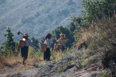 Shan State, Myanmar - 7 Ocak 2020: Geleneksel Longyi 'de güçlü burmalı kadınlar Kalaw ve Inle Gölü arasında açık havada çalışıyorlar