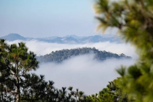 在缅甸掸邦喀劳和英勒湖之间的山谷景观上俯瞰着树顶和薄雾 群山起伏起伏 — 图库照片