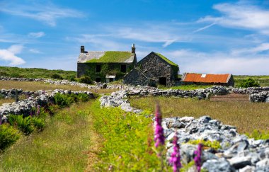 Cornwall UK 'de sarmaşıklarla kaplı terk edilmiş eski bir çiftlik evi.