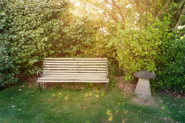 Parktaki ahşap bankta, arka bahçede ve güneş parlarken ağaçlar düşündü