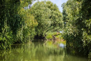 Parktaki nehrin manzarası