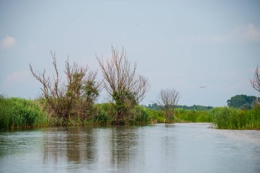 Nehir ve mavi gökyüzü manzarası