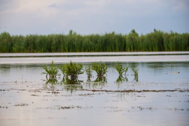Nehir ve bulutlarla birlikte manzara
