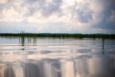 Yazın nehir manzarası
