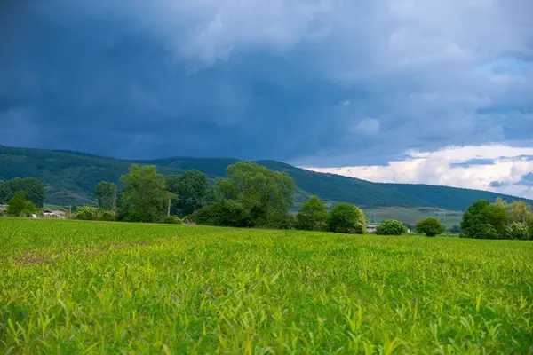 Oblačná Obloha Nad Horami Krajina Travnatá Louka — Stock fotografie