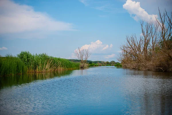 stock image landscape with the river and the trees in the background