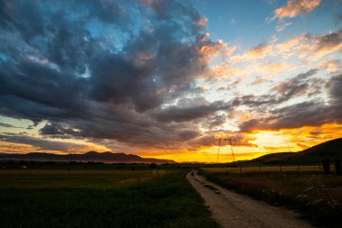 Buğday tarlasında bulutlu günbatımı gökyüzü