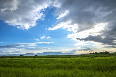 Dağların kırsal arazisi ve yeşil çimenler