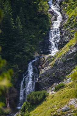 Güzel dağlar manzara ve şelale suyu akan orman ağaçları. 