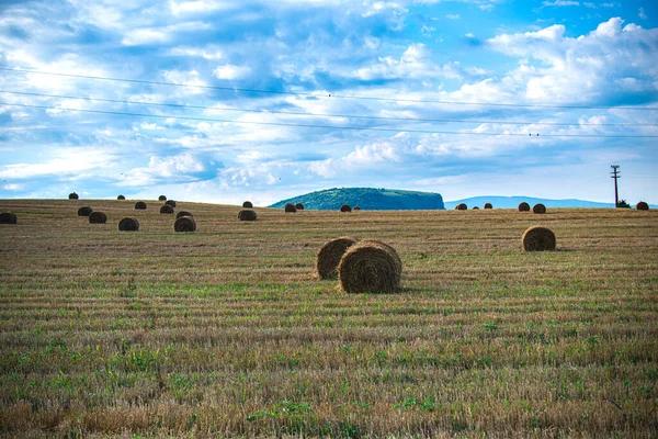 Terra Agricultura Com Rolos Feno Secos Céu Azul Com Nuvens — Fotografia de Stock