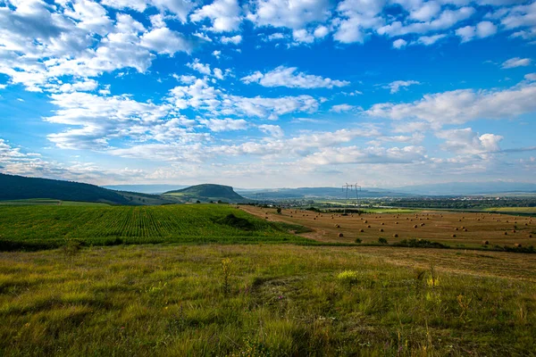 Terra Agricultura Com Rolos Feno Secos Céu Azul Com Nuvens — Fotografia de Stock