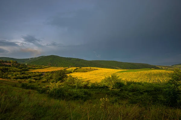 Terreno Agricolo Vista Rurale Campagna — Foto Stock