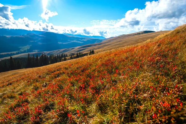 Montanhas Paisagem Com Colinas Vale — Fotografia de Stock