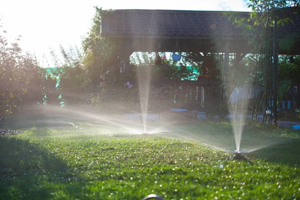 Sprinkler Sprutning Vatten Gräsmattan Vattning Grönt Gräs — Stockfoto