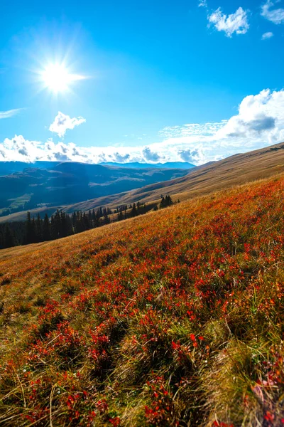 Montañas Paisaje Con Colinas Valle Imágenes de stock libres de derechos