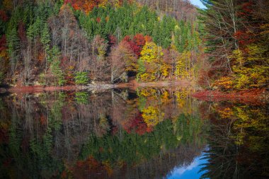 Renkli ağaçları ve gölü olan güzel sonbahar manzarası  