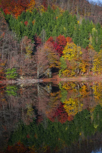 カラフルな木々や湖と美しい秋の風景 — ストック写真