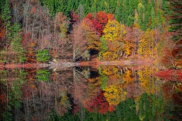 Hermoso Paisaje Otoñal Con Árboles Coloridos Lago — Foto de Stock