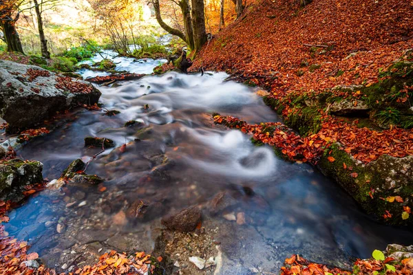 Paisaje Otoñal Con Arroyo Montaña Bosque — Foto de Stock