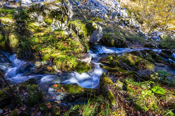 Paisaje Otoñal Con Arroyo Montaña Bosque — Foto de Stock