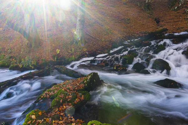 Höst Landskap Med Fjällbäck Och Skog — Stockfoto