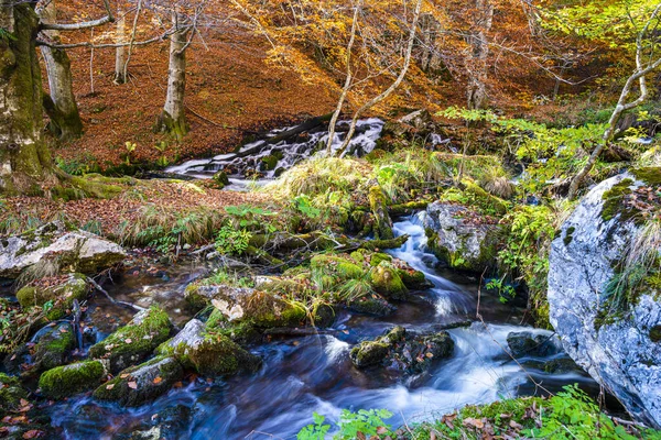 Paisaje Otoñal Con Arroyo Montaña Bosque — Foto de Stock