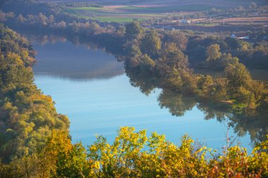 Ormandaki nehir manzarası