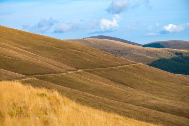 Tarlaları ve çayırları olan kırsal alan