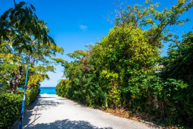 Parktaki yol manzarası