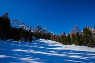 Karla kaplı ağaçlarla kaplı kış manzarası