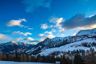 Karla kaplı ağaçlarla kaplı kış manzarası 