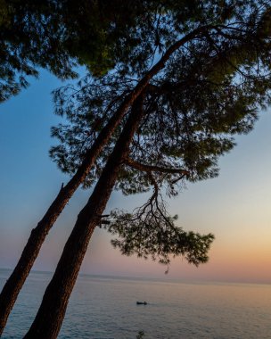 Kayaları ve deniz manzarası olan güzel bir sahil.
