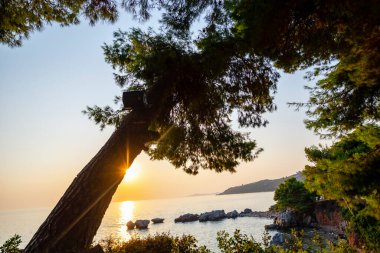 Kayaları ve deniz manzarası olan güzel bir sahil.