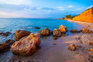 Dalgaları ve denizi olan güzel sahil