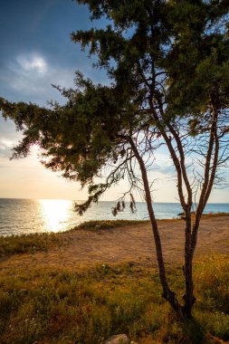 Yazın deniz manzarası