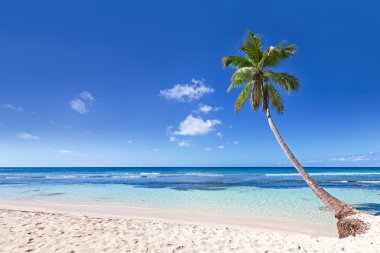 Cennet Adası üzerinde Karayip Denizi