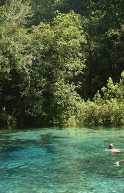 Kuzey Florida 'da temiz suyla birlikte doğal sıcak su kaynakları bulundu.