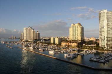 Miami Beach Florida şehir manzarası ve marina manzarası