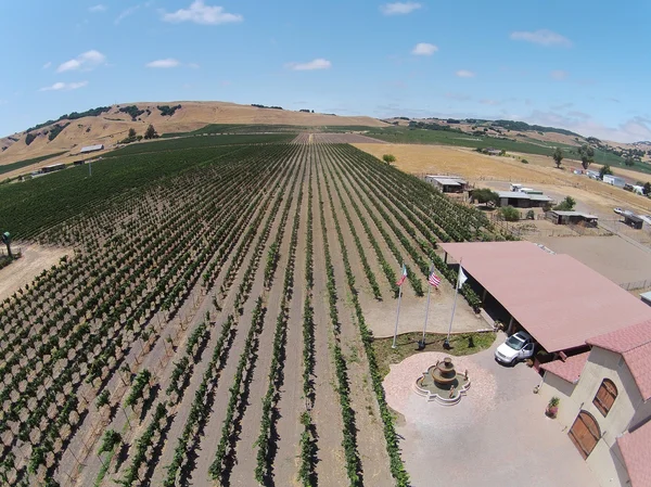 Letecký pohled na Kalifornské vinařství — Stock fotografie