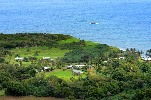 Tengerparti tájak, Hawaii — Stock Fotó