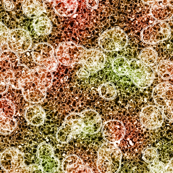 Organiska celler under Mikroskop Stockfoto